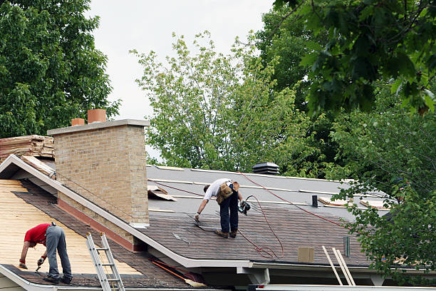 Roof Gutter Cleaning in Oceana, WV